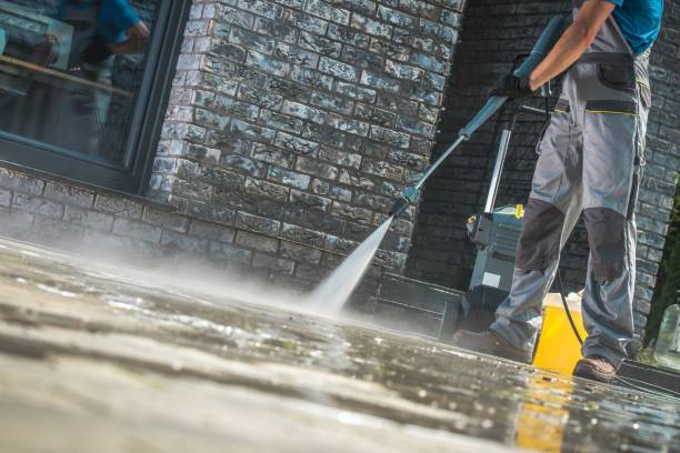 Animal Enclosure Cleaning